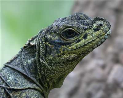 belle photo n°7 - faire un shooting photo avec Arnaud à Saint-germain-en-laye