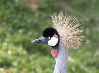 photo n°8 de Arnaud photographe à Saint-germain-en-laye