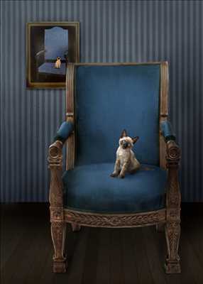 photographie n°46 - faire une séance photo avec Mila à Nevers