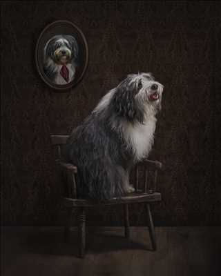 photo n°55 du photographe Mila - Nevers