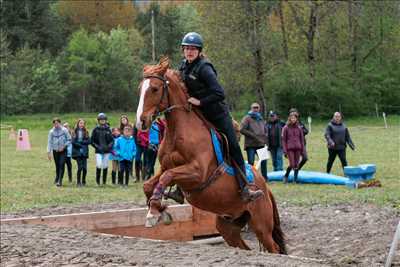 photo n°15 de Baptiste photographe à Saint-martin-d'hères