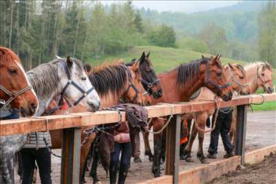 photo n°17 - shooting photo - Baptiste à Saint-martin-d'hères