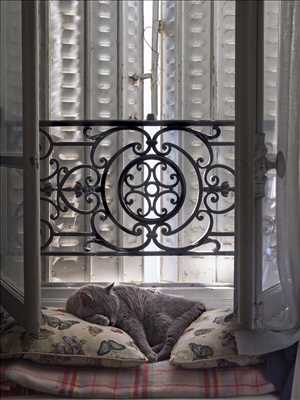 photo n°56 du photographe Frédéric - Paris