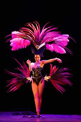 photo n°6 du photographe François - Saverne