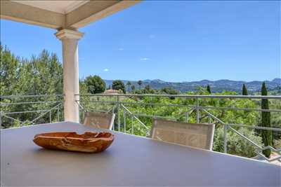 photo n°4 - séance photo avec Magali à Meaux