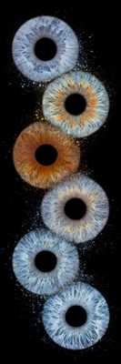 photographie n°21 - faire une séance photo avec Ilse à Tourcoing