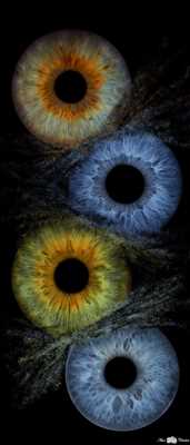 photographie n°17 - faire un shooting photo avec Guillaume  à Besançon