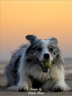 photographie n°12 - faire un shooting photo avec Océane à Saint-etienne
