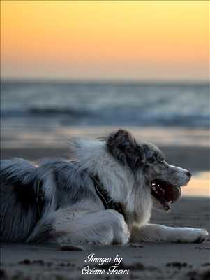 photo n°13 - séance photo avec Océane à Saint-etienne