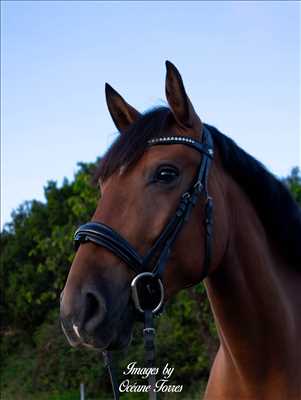 photographie n°14 - faire une séance photo avec Océane à Saint-etienne