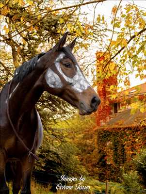 photographie n°15 - faire un shooting photo avec Océane à Saint-etienne