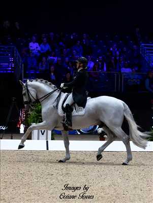 photo n°32 du photographe Océane - Saint-etienne