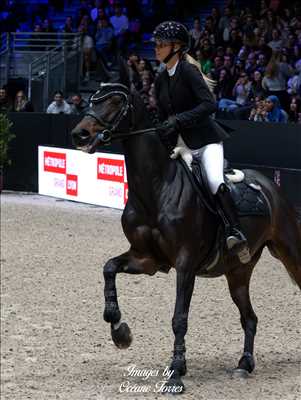 photo n°34 - séance photo avec Océane à Saint-etienne