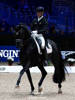 photographie n°36 - faire un shooting photo avec Océane à Saint-etienne