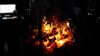 photo n°16 du photographe Anna - Paris