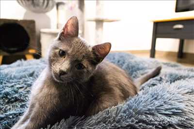 photo n°8 de Anthony photographe à Meyzieu