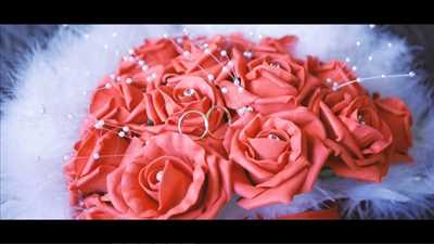 Photo n°9 réalisée par le membre mirandais Christian