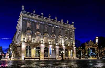 Oeuvre n°8 proposée par Angèle 