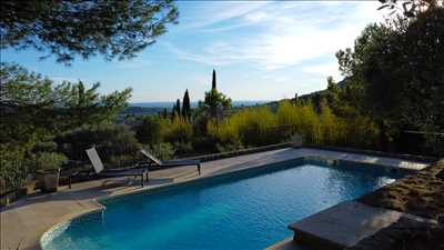 photo n°2 du photographe Cindy - Carpentras