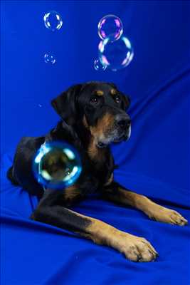 photographie n°23 - faire une séance photo avec Cindy à Carpentras