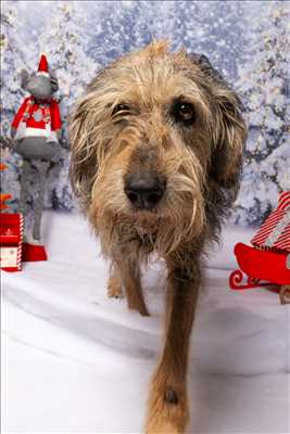 photographie n°24 - faire un shooting photo avec Cindy à Carpentras