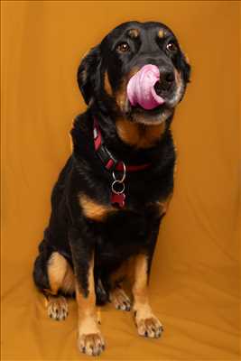 belle photo n°25 - faire un shooting photo avec Cindy à Carpentras