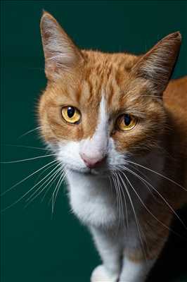 belle photo n°26 - faire un shooting photo avec Cindy à Carpentras