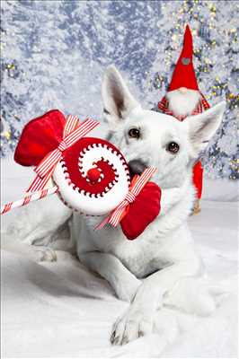 photo n°27 de Cindy photographe à Carpentras