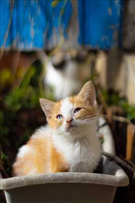 photo n°29 - séance photo avec Cindy à Carpentras