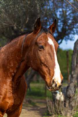 photographie n°30 - faire une séance photo avec Cindy à Carpentras