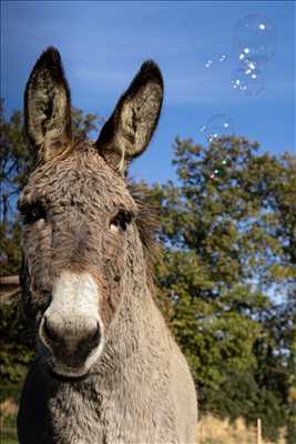 photographie n°31 - faire un shooting photo avec Cindy à Carpentras