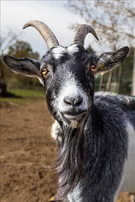belle photo n°32 - faire un shooting photo avec Cindy à Carpentras