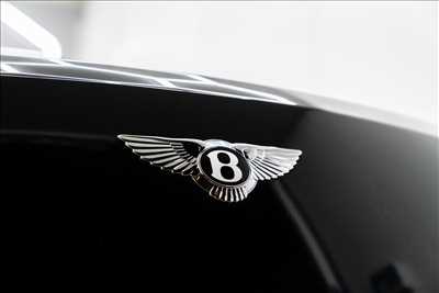 belle photo n°49 - faire un shooting photo avec Cyril à Béziers