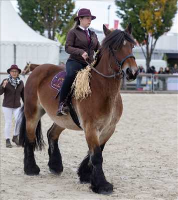 photo n°2 de Jean-Pierre photographe à Clermont-ferrand