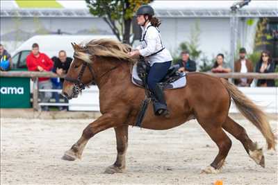 photo n°3 - shooting photo - Jean-Pierre à Clermont-ferrand