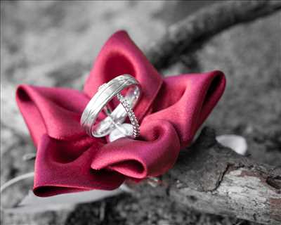 Photo n°16 réalisée par l'utilisateur orvaltais Mickael