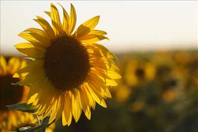 photo n°17 - shooting photo - Mélanie à La flèche