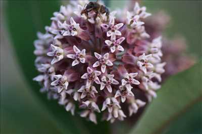 photo n°18 - séance photo avec Mélanie à La flèche