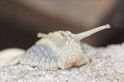 photographie n°19 - faire une séance photo avec Mélanie à La flèche