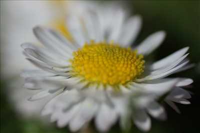 photographie n°20 - faire un shooting photo avec Mélanie à La flèche