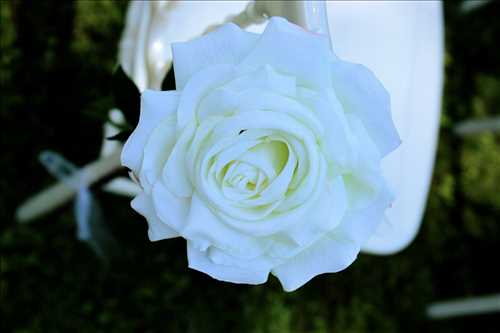 Exemple de shooting photo par Renaud à Condom : shooting mariage