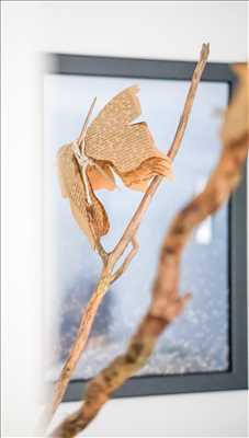 photo n°63 de Emilie photographe à Les herbiers