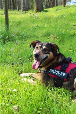 Oeuvre n°9 téléchargée par le membre yonnais Julia 