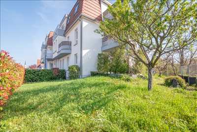 Photo n°8 réalisée par Dorian Vandeville