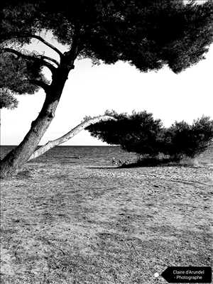 photo n°13 de Claire photographe à Sanary-sur-mer