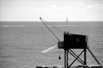 photo n°15 de Claire photographe à Sanary-sur-mer