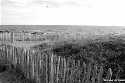 photo n°16 du photographe Claire - Sanary-sur-mer