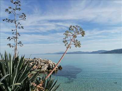 photographie n°5 - faire une séance photo avec Claire à Sanary-sur-mer