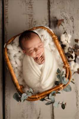 photo n°62 du photographe Pascaline - Le grand-quevilly