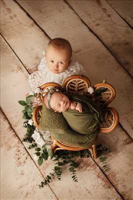 photo n°69 du photographe Pascaline - Le grand-quevilly
